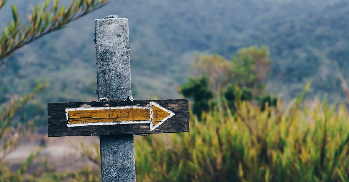 Un panneau de bois indique une direction, seul au bord du chemin